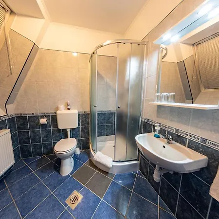 Pensjonat Megallo Wellness Panzio 3*