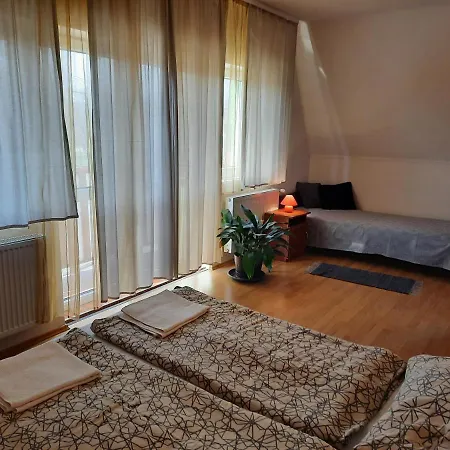 Pensjonat Megallo Wellness Panzio