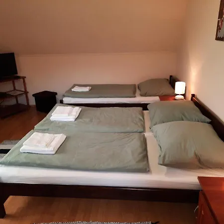 Megallo Wellness Panzio 3*
