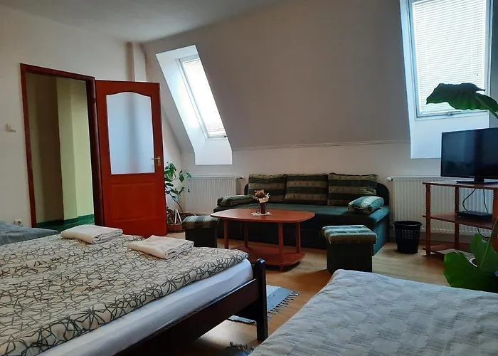 Megallo Wellness Panzio בית הארחה