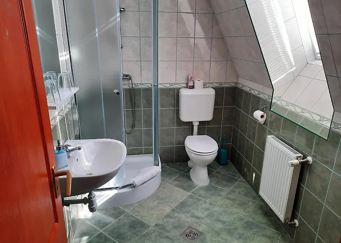 בית הארחה Megallo Wellness Panzio 3*