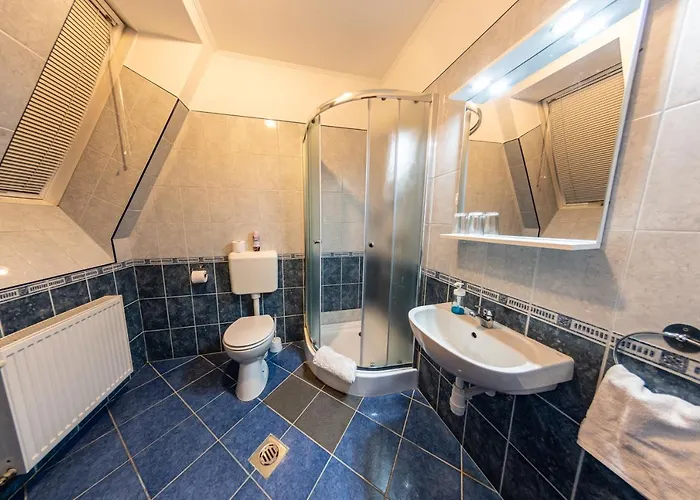 Konukevi Megallo Wellness Panzio 3*