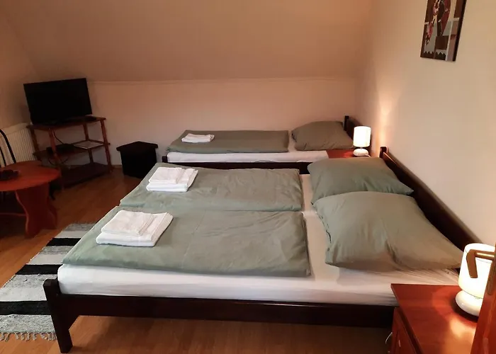 Megallo Wellness Panzio 3*