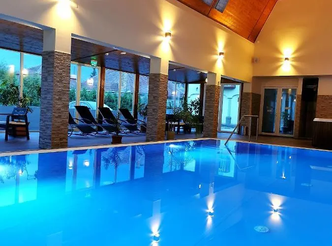 בית הארחה Megallo Wellness Panzio 3*
